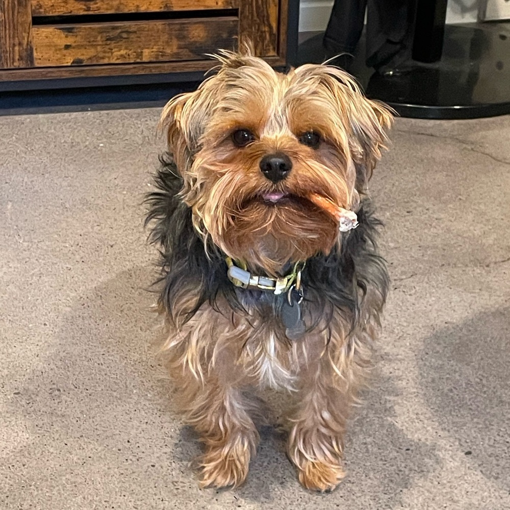 Meet your Posher, Amy